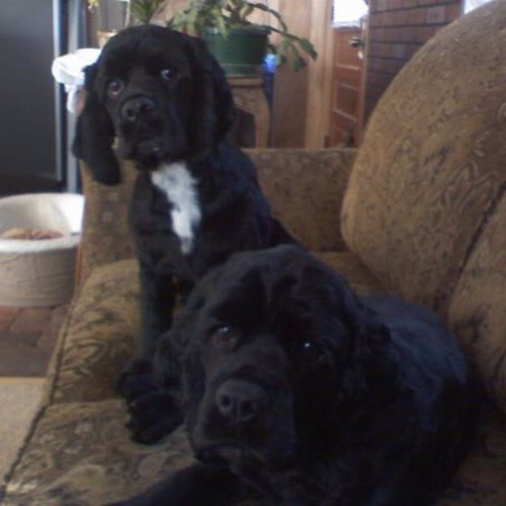 Meet your Posher, Jodi